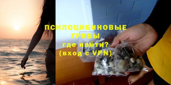 спиды Елизово