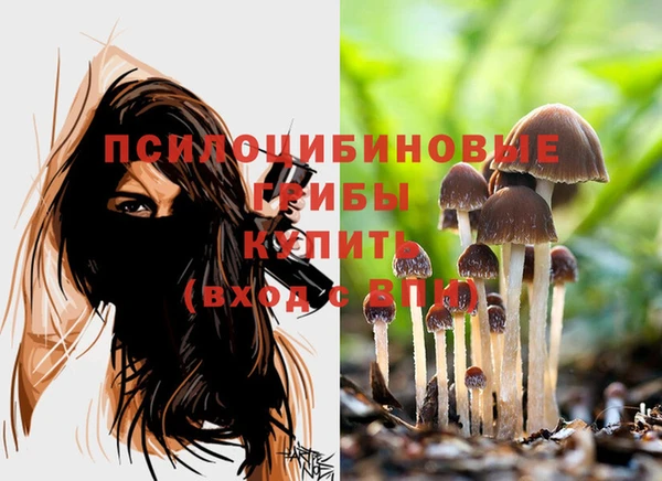 кокаин премиум Новокубанск