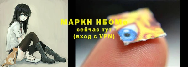 спиды Елизово