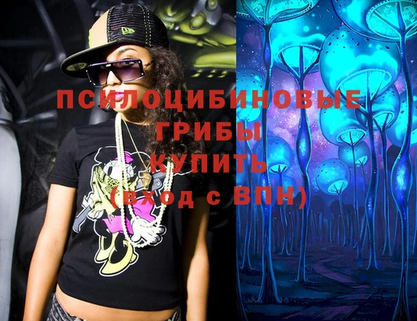 гидропоника Ельня