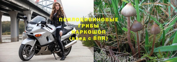 гидропоника Ельня
