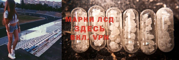 спиды Елизово