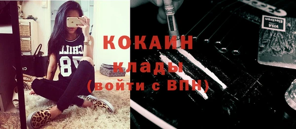 ГАЛЛЮЦИНОГЕННЫЕ ГРИБЫ Нея