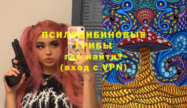 гидропоника Ельня