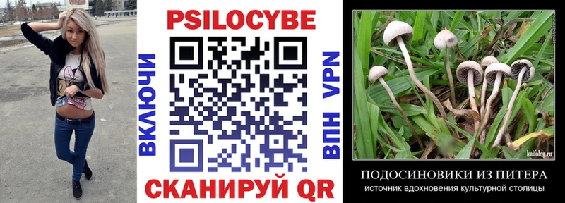 Псилоцибиновые грибы Psilocybe  omg как зайти  Питкяранта 